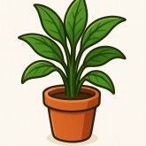 CANLI SAKSI ÇİÇEKLERİ