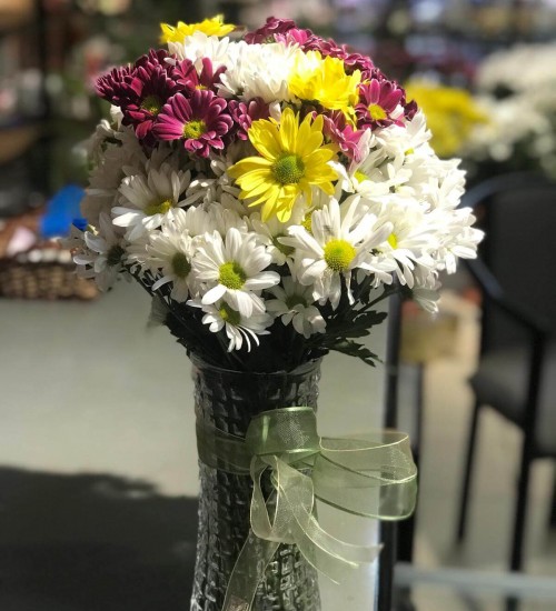 Vazoda Papatya (3 Demet)