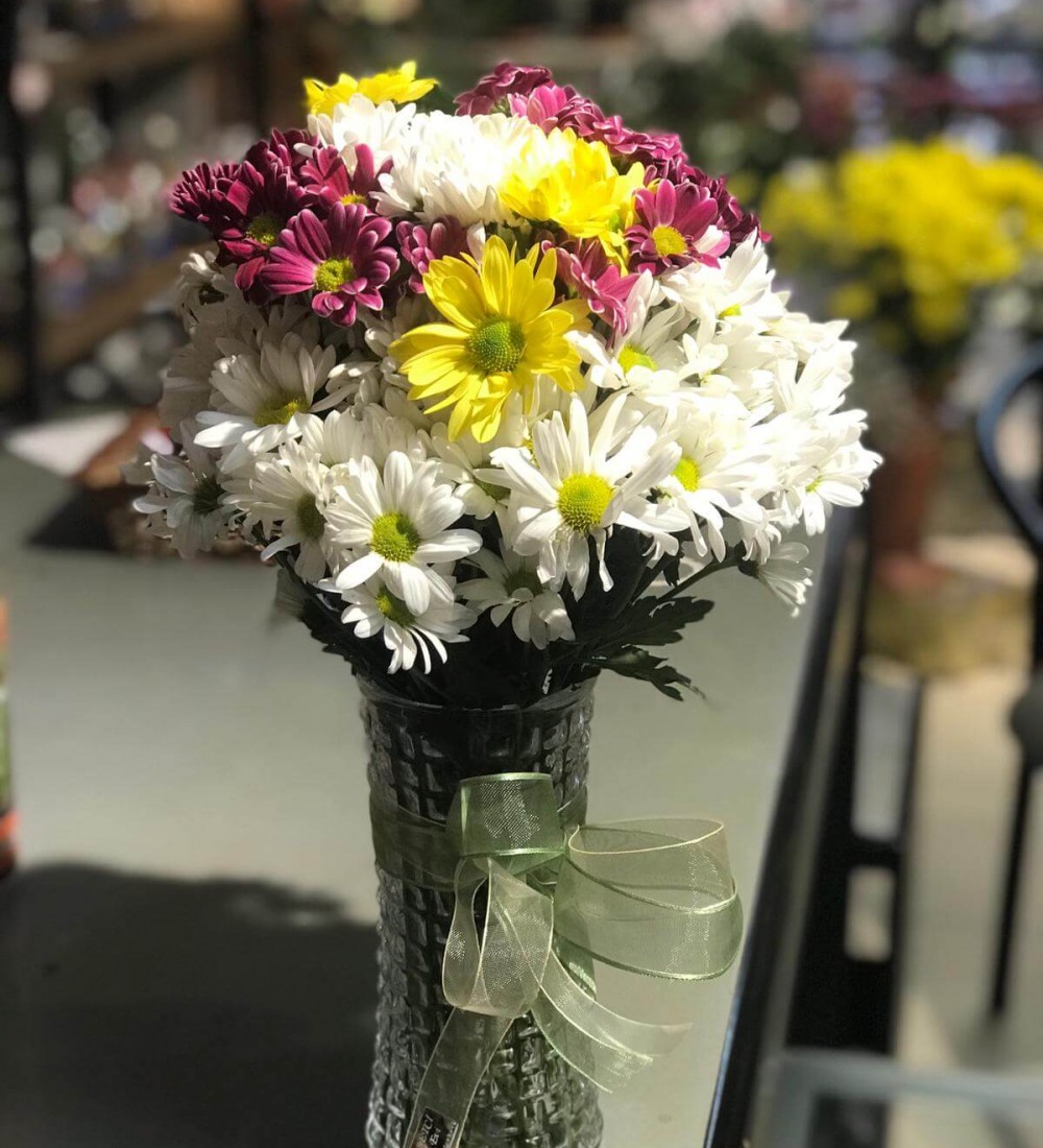 Vazoda Papatya (3 Demet)