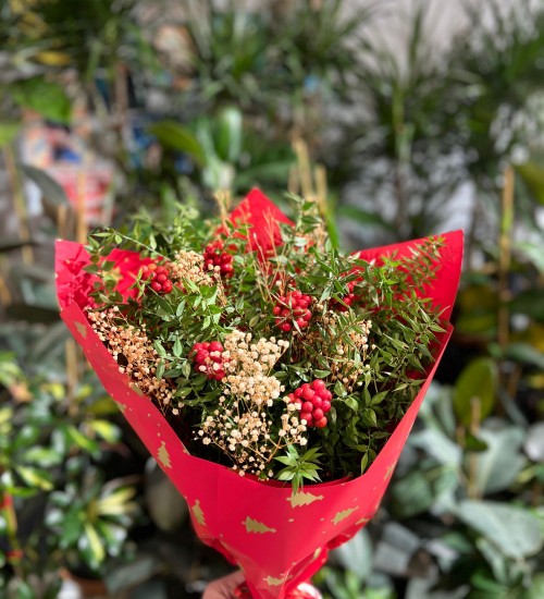 Kokina (1 demet + yeşillik)